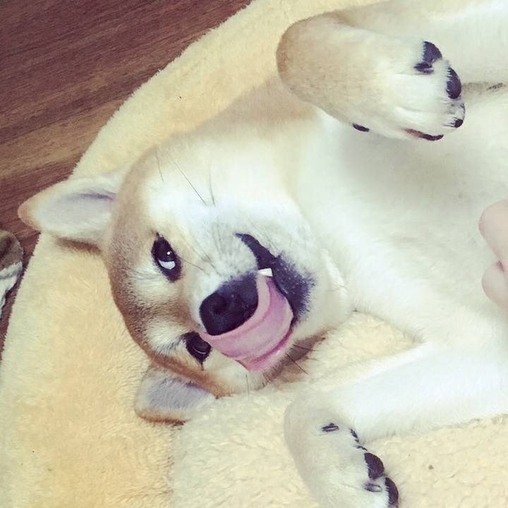 0db5c3ae 4c02 4cc5 9bff 6ac6466886a2 1517467403230