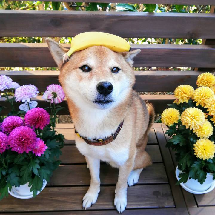 0db5e2c4 095d 4bb6 86ff 6efd5dce3dea 1606522624820