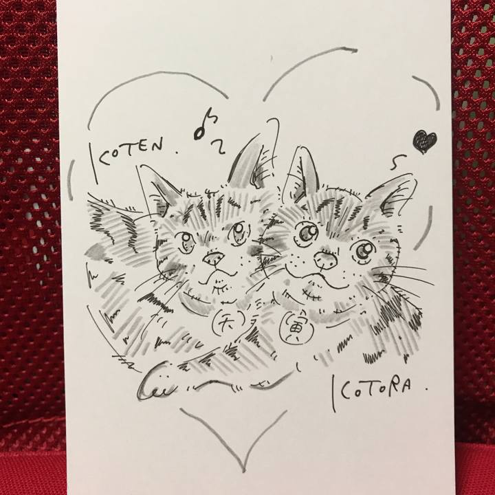 0db5ea6f d169 4db8 91f9 728f87812d01 1567868151625