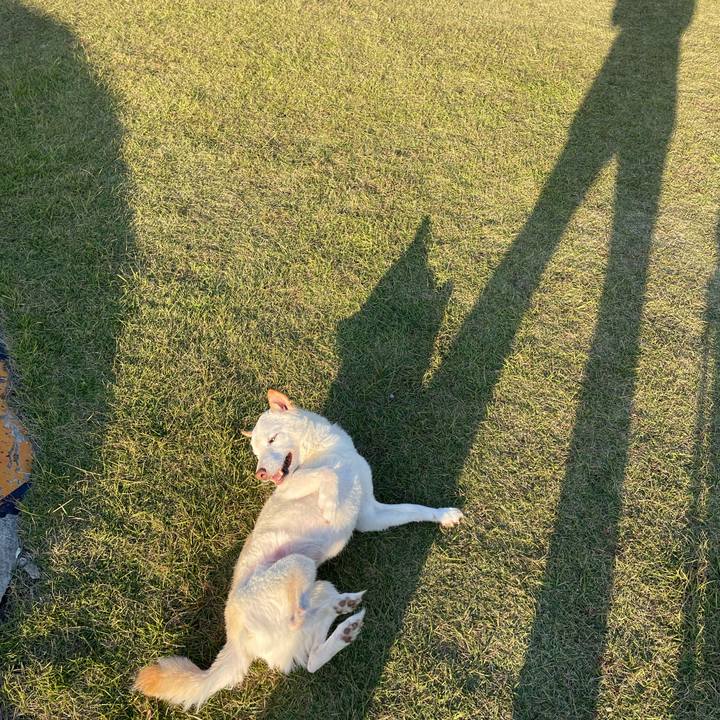 0db5f60e f4e5 459b 8a2b 186041f0ea9b 1667891165879