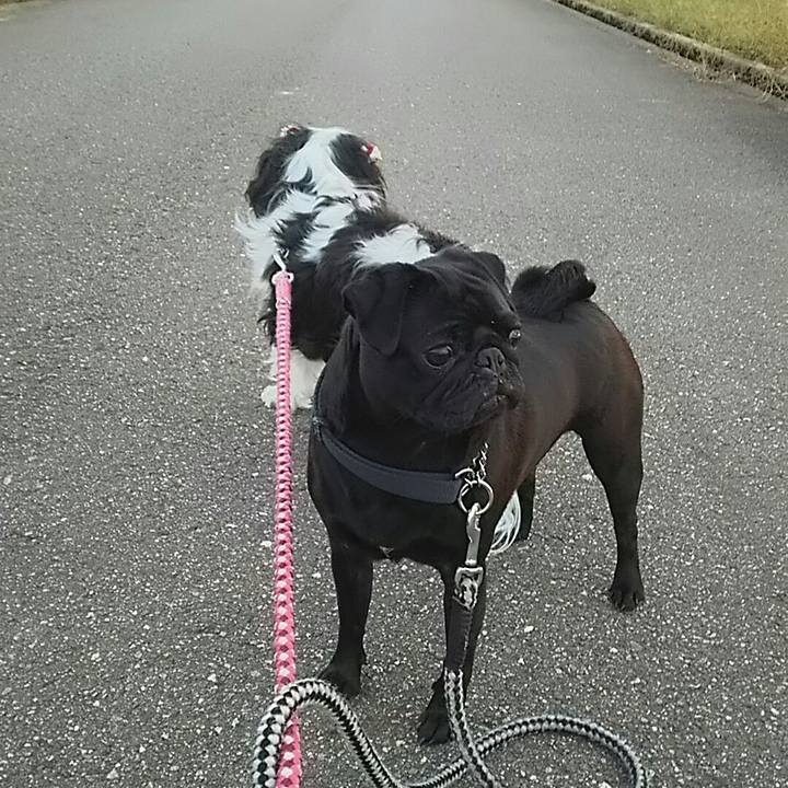 0db64879 7d2b 46b4 9f05 6590efc4d1d5 1539532012162