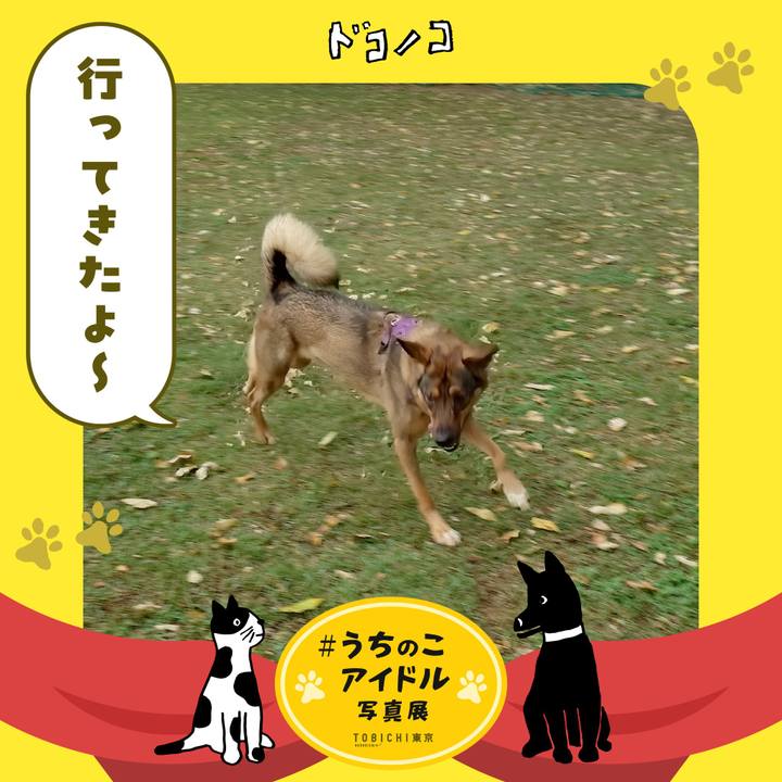 0db64f65 4fc4 4b6e 8fee 35a778559605 1761355733234