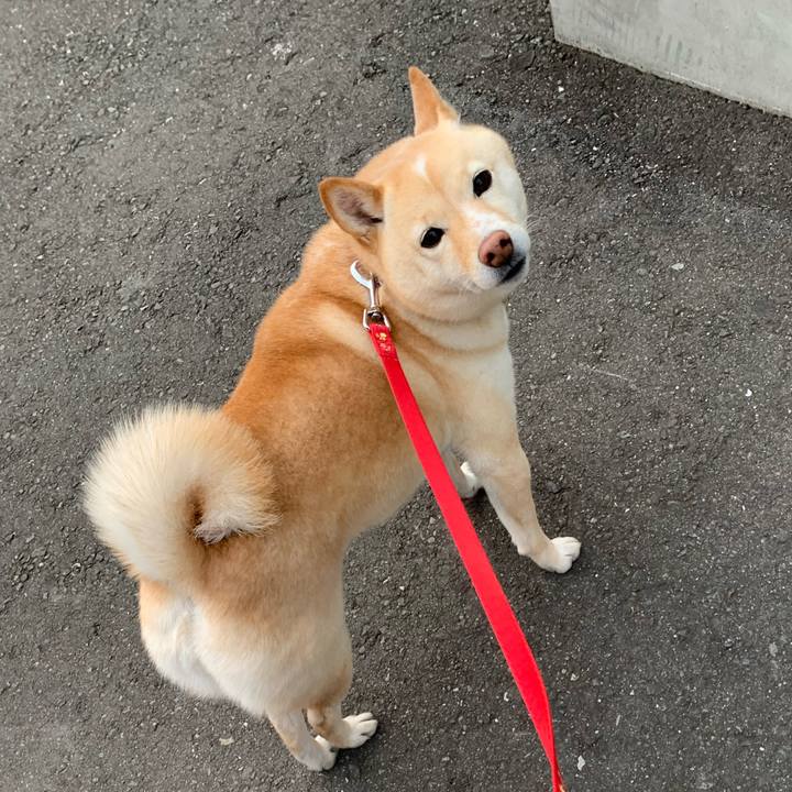 0db6522b c330 41cb 8e34 cb6398a5959e 1643528482469