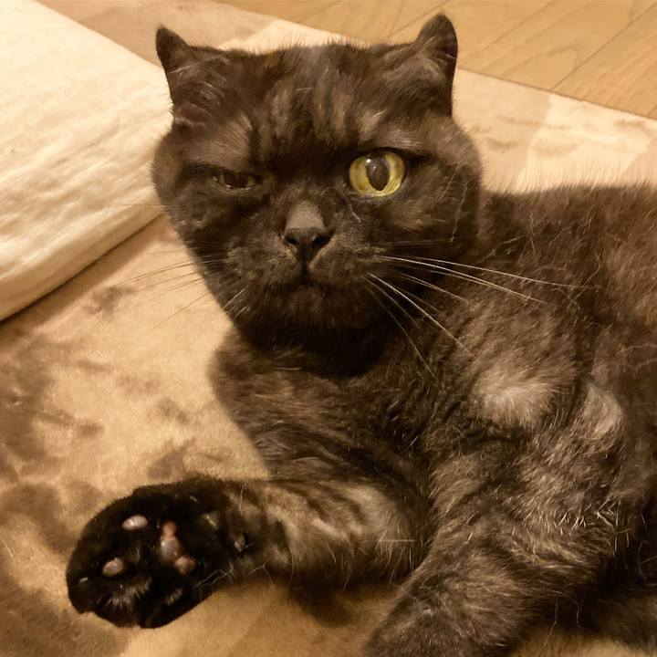 0db65e7e 6c87 4a8b 9a32 7558d68c8c03 1602259166448