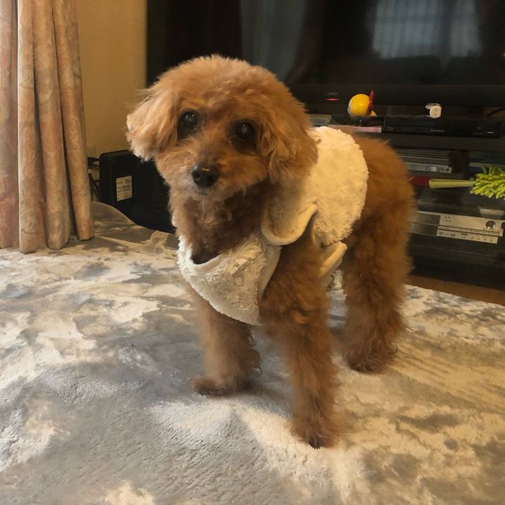 0db6837e 63f0 4fe9 859e c025c61bf23f 1637547668188