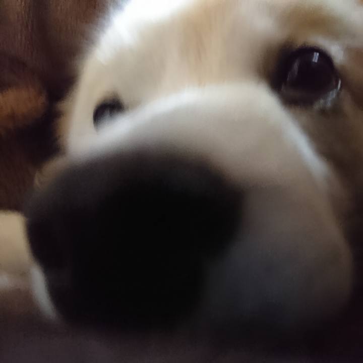 0db6860e 9ced 486b 90fa 80a5a5267d7f 1526334844607