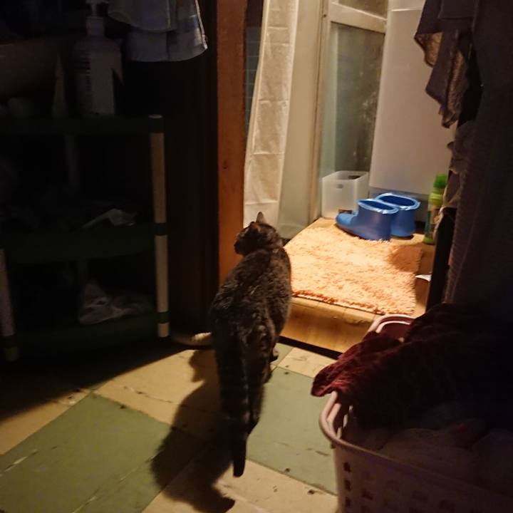 0db6a5fd 50e6 482b 8b22 09e2061f74db 1581587508123