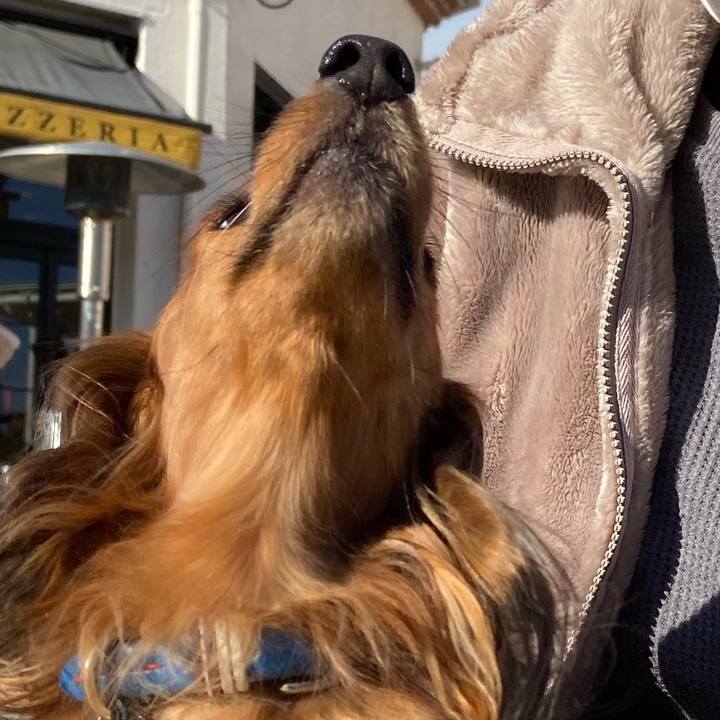 0db6c7b5 84b9 4f46 b694 c2c2f0435971 1641350581610