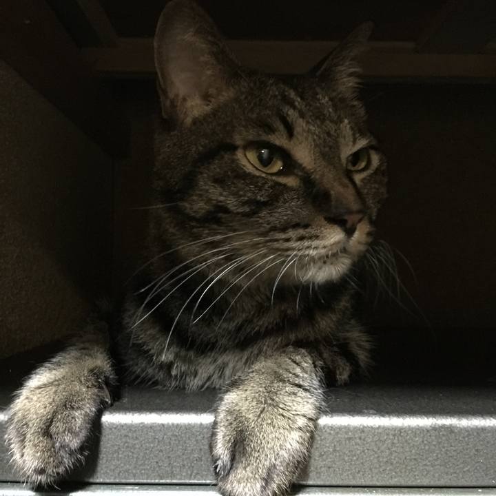 0db6cef4 036a 4c56 a468 43314a48acc8 1533382524458