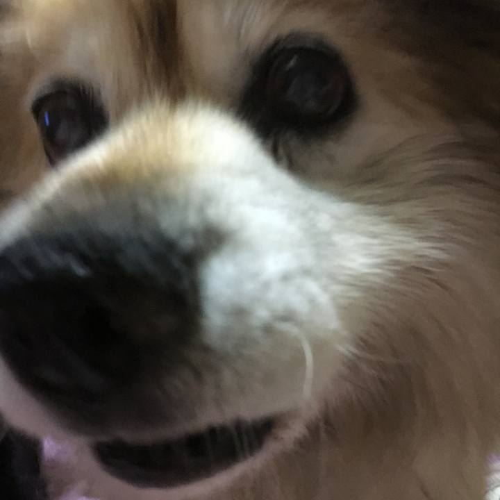 0db724a5 379e 459c 830b e71a7fe39f0d 1574625420502