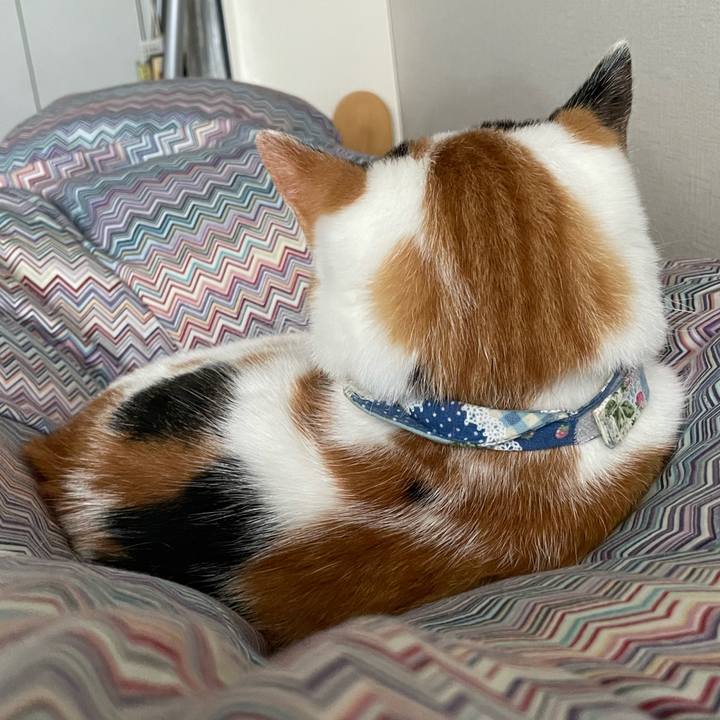 0db78666 e101 49d8 856d 697601df658d 1729640289168