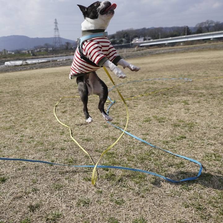 0db7b439 0f7d 4894 aa3e 37091ef82d6b 1519632221266