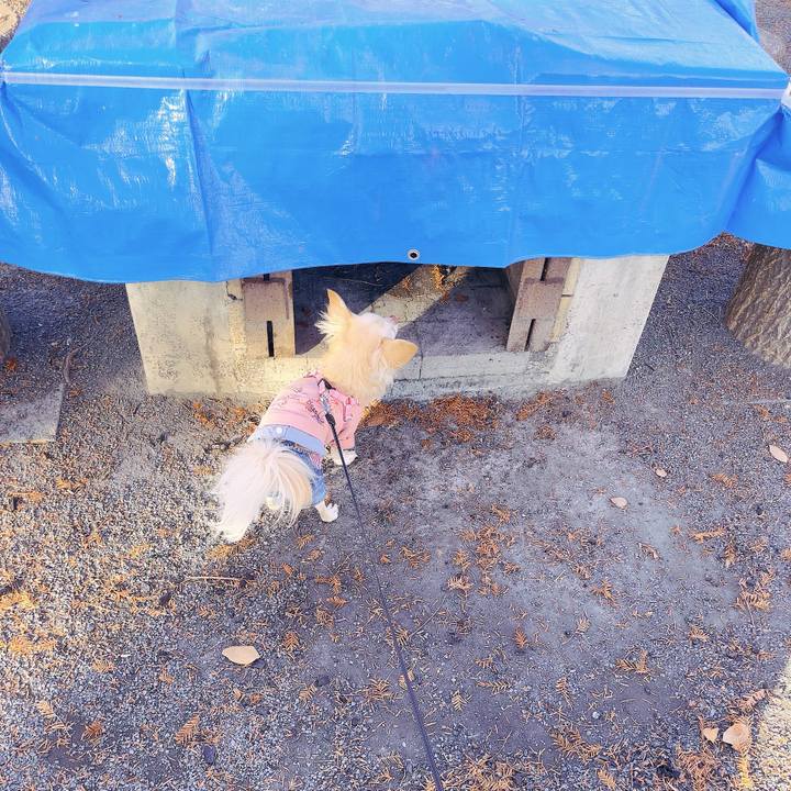 0db7b6bc 4058 4cf2 942f 9ca34fc8e30f 1702194332900