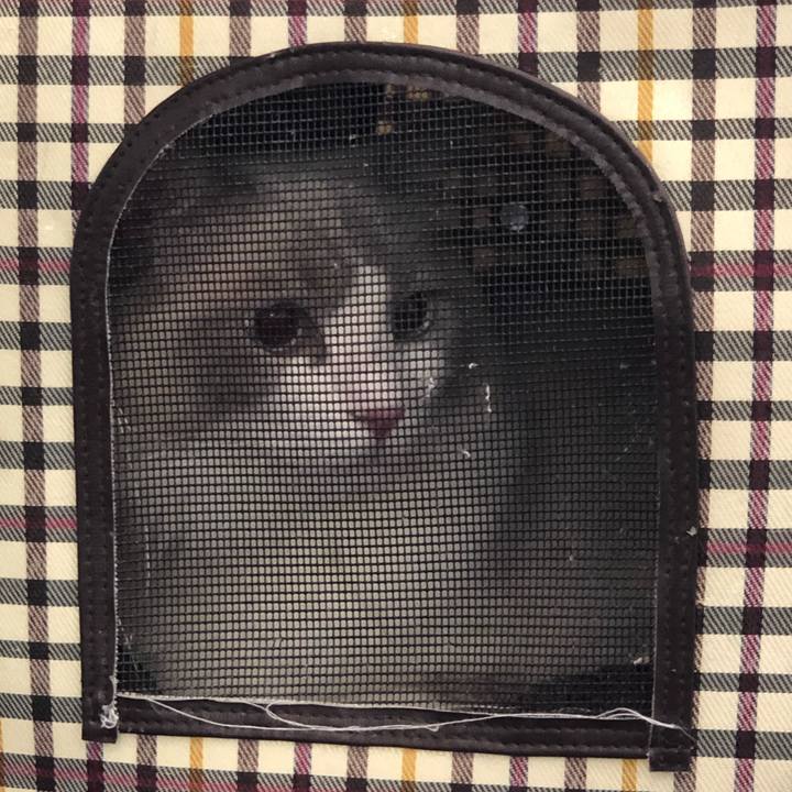 0db7be85 32e9 4418 a875 4c66b6a0f403 1569478822298