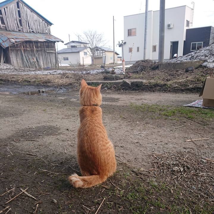 0db7dce0 10a2 4b44 b77a 22b4238eab87 1648970328429