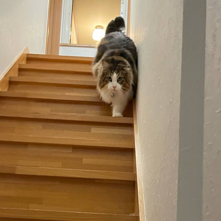 0db7eba3 92ba 4a99 b07b a9c26e54eada 1705781068982