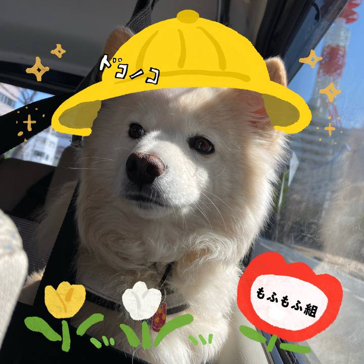 0db829e4 07ca 472c 9a96 08079452b311 1712726830597