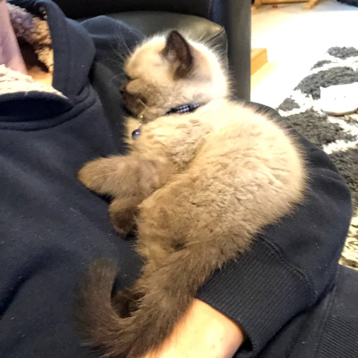 0db84988 223e 4525 92e3 65e26d1eea58 1585191796951