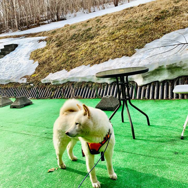 0db89ce1 9092 45af b508 a99e00c857ae 1650148104704