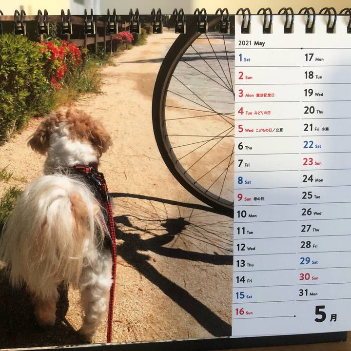 0db8a557 3048 4d14 a319 9c6b5885db14 1622065918382