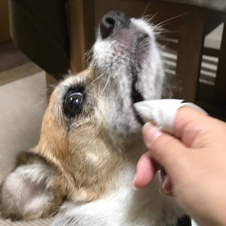 0db8b50b eafb 4c89 a02c 1e69d853bacb 1571306418627