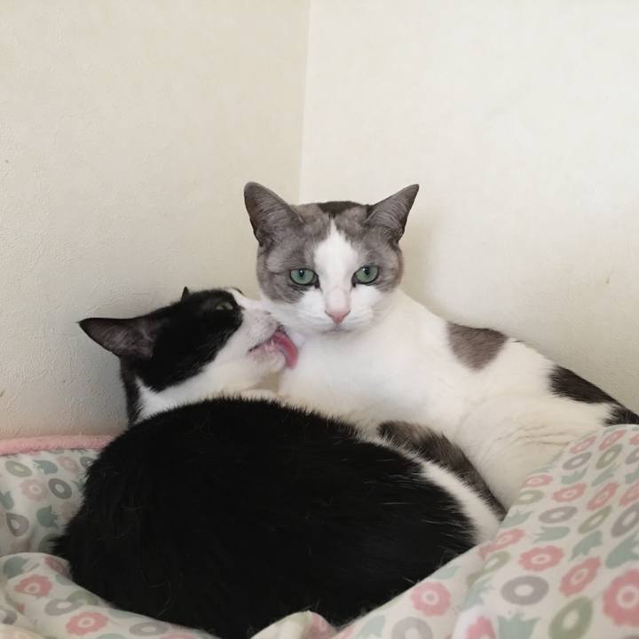 0db8b575 80c3 4f8f 8d18 b251329e0f90 1552963130301