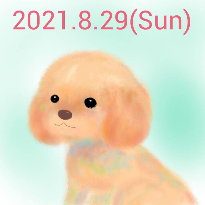 0db8cee1 f1ff 45ff af6a a30655213019 1630237134616