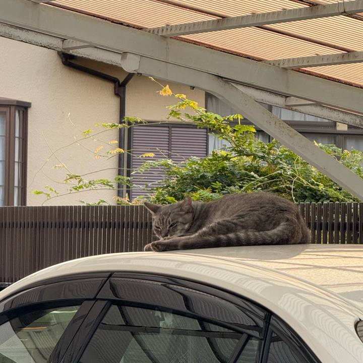 0db9057e 830f 44bd bdfd 9e426e23ac77 1756347869159