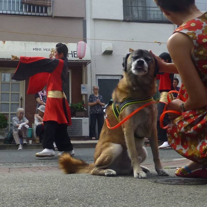 0db906c2 41ab 4cb6 aeec 734295a1f414 1580391475069