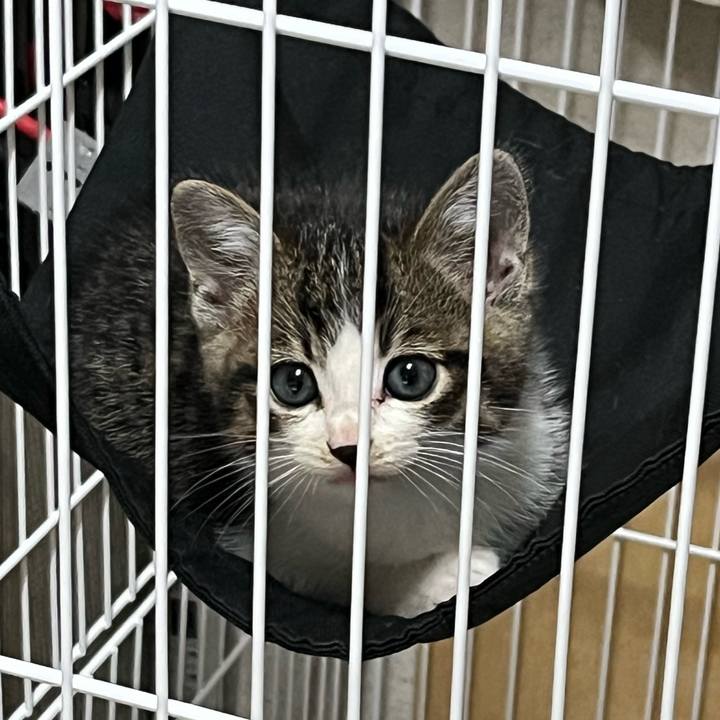 0db91108 75aa 467b b6cc bebb06498abf 1764193481823