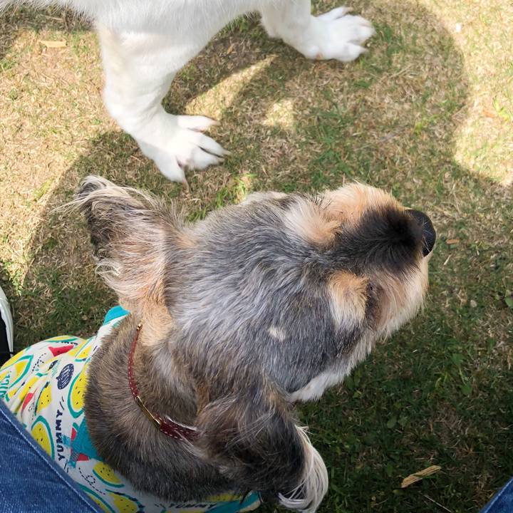 0db91461 76dc 4271 aa85 be6ca69ad9f0 1557990219873