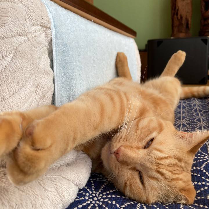 0db9437f b9f8 40b7 ad29 2af8d96292bc 1763033789752