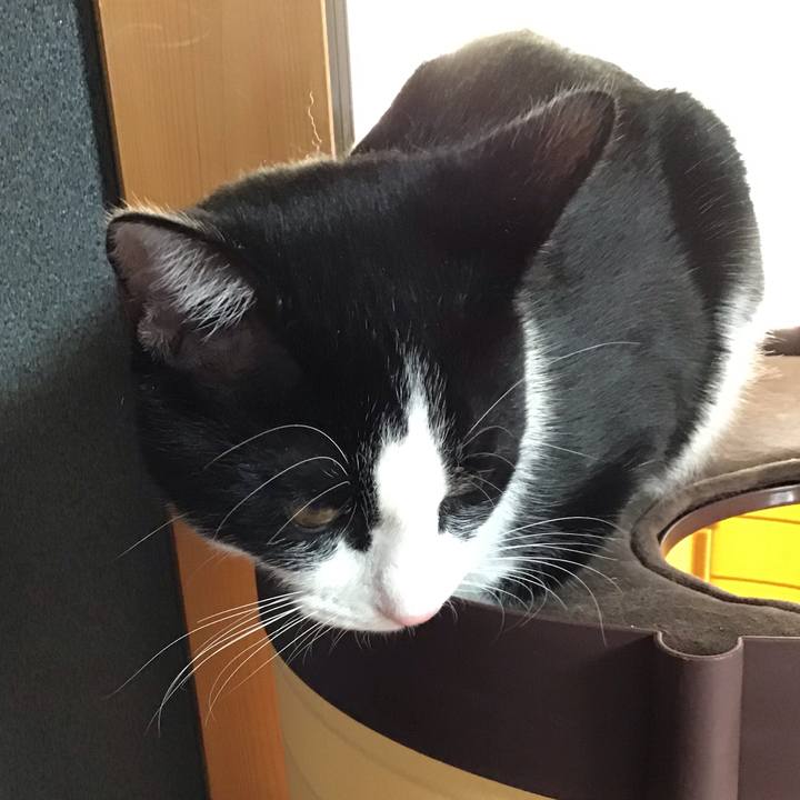 0db95ff8 abef 4b61 8f2b a1e38ac5b1fd 1641624306989