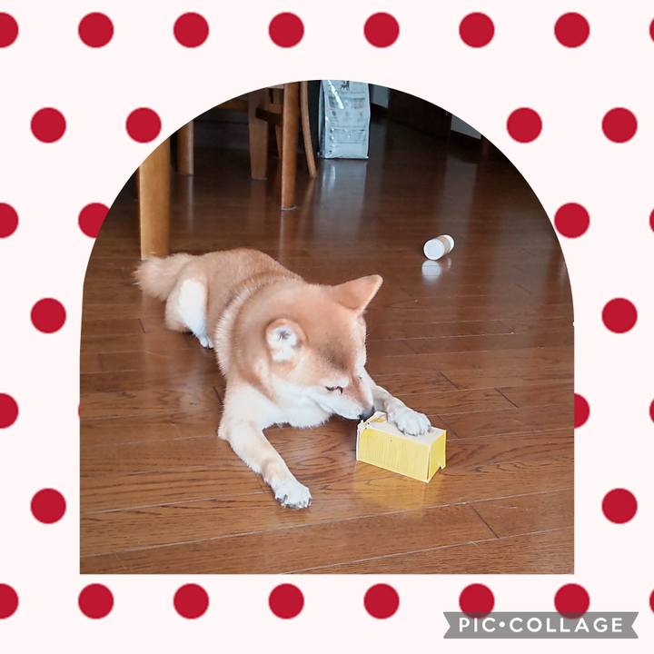 0db97bba f175 4f63 956f 11f2551f2ef2 1730434825320