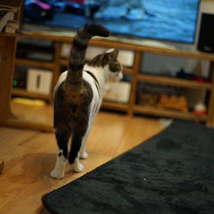 0db9965a 2fd3 4363 b107 99d869acb872 1517303213558