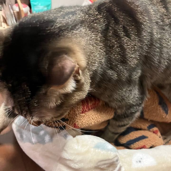 0db9a132 9fe8 4049 9f6b 2493f5c64550 1768443194906