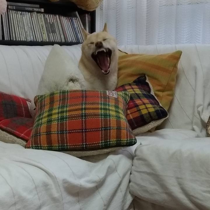 0db9afe2 cd6d 48a1 ae34 07280061d8e4 1606907755885