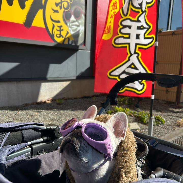 0db9ef20 d15b 4cf1 a45f 54665ed993c3 1769314920520