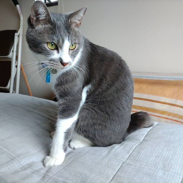 0dba2b93 6e07 40be bec4 3e26676825e9 1665878272677