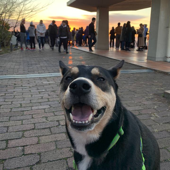 0dba2d90 385f 4e1a 8473 76c7ec3a6b8d 1577838036973