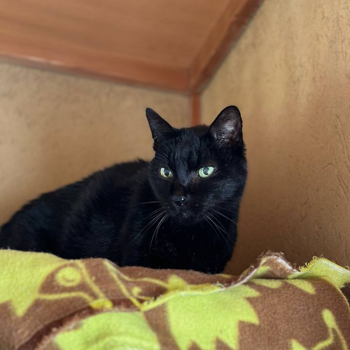 0dba71e9 270f 41b8 9096 0d17191e8e8c 1701569143916