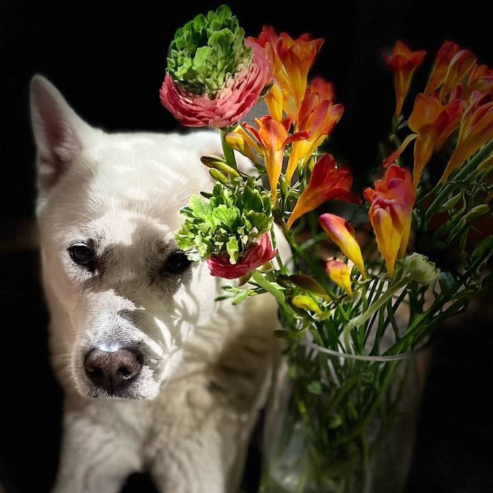 0dbaa207 989c 480a 9d38 29446338ac38 1742129744295