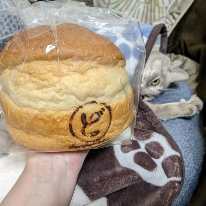 0dbace26 8e01 4b0e 90c3 0ea99c302e88 1676781884819