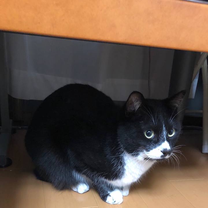 0dbae54d 44d5 4bb3 b573 fb240553f8d9 1556164104286