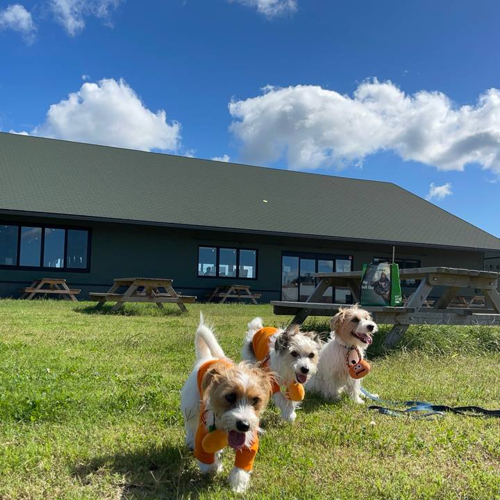 0dbb0544 d108 4f19 9fbb 0f0f11046b5c 1760702749946