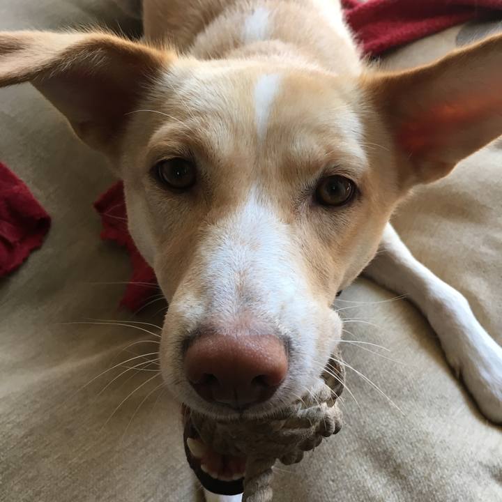 0dbb0b8c b56e 4edb 8aec 01c4543c000c 1511269559649