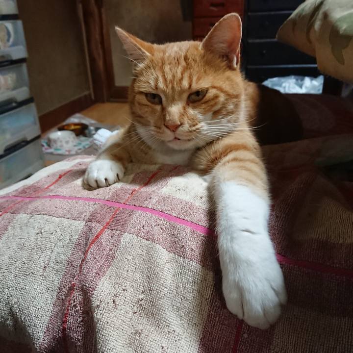 0dbb3ab2 bd91 4e56 a345 85abe8be6d1a 1606208313769