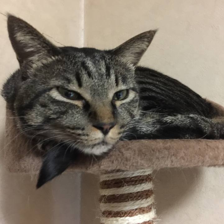 0dbb4e16 90d3 4721 9c51 9ac21c7bce89 1548167092463