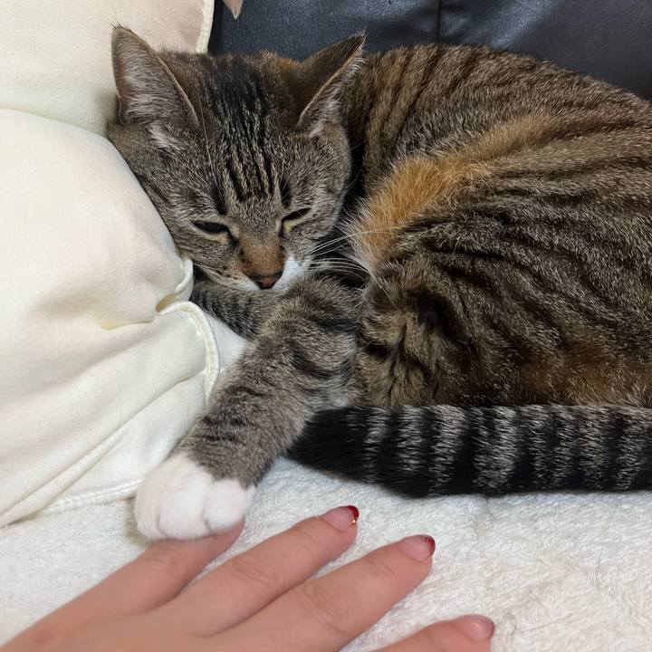 0dbb4e56 b795 44cc 9db0 9dec41d68b42 1746713544328