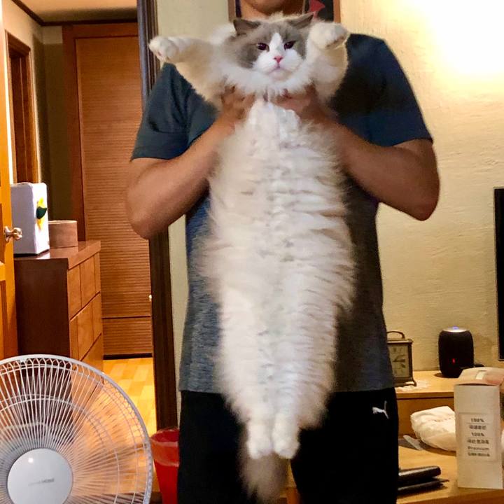 0dbb7599 9baa 4d8d 8b87 9c5647225ce6 1627085864952